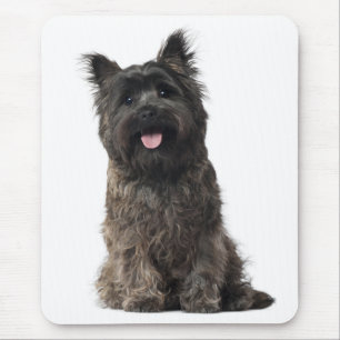 Gelukkig Cairn Terrier Puppie Hond Liefde Muismat