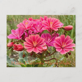 Gelukkig Californische inheemse Week! Briefkaart