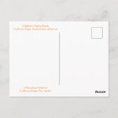 Gelukkig Californische papaverdag! Briefkaart (Achterkant)