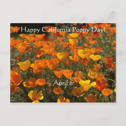 Gelukkig Californische papaverdag! Briefkaart (Voorkant)