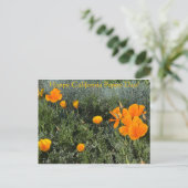 Gelukkig Californische papaverdag! Briefkaart (Staand voorkant)