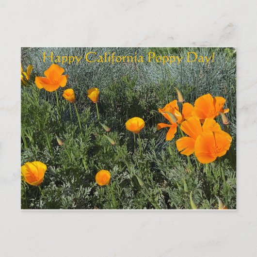 Gelukkig Californische papaverdag! Briefkaart (Voorkant)