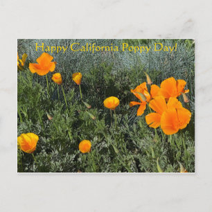 Gelukkig Californische papaverdag! Briefkaart