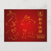 Gelukkig Chinees nieuwjaar konijn Briefkaart (Voorkant)