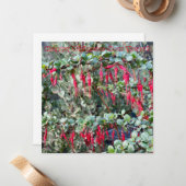 Gelukkig Chinees Nieuwjaar! Notitiekaartje (Voorkant / Achterkant in situ)