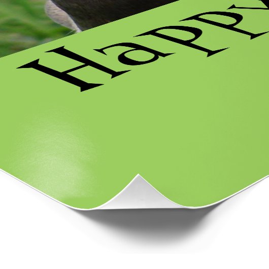 Gelukkig delen de mensen een glimlach. Ik Quack. P Poster (Hoek)