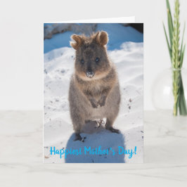 Gelukkig Fijne Moederdag Cute Quokka Beach Kaart