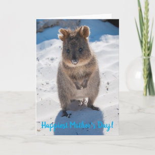 Gelukkig Fijne Moederdag Cute Quokka Beach Kaart