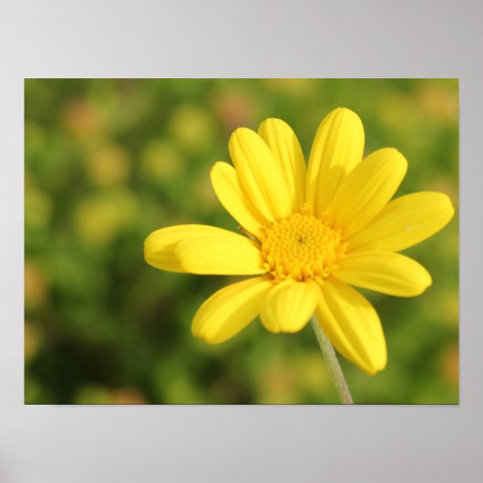 Gelukkig Geel Bloem A3 Poster (Voorkant)