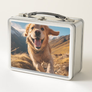 Gelukkig Golden Retriever Running