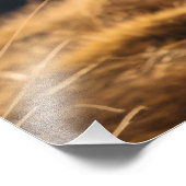 Gelukkig Golden Retriever Running Foto Afdruk (Hoek)