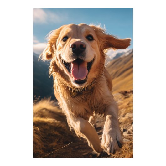 Gelukkig Golden Retriever Running Foto Afdruk (Voorkant)