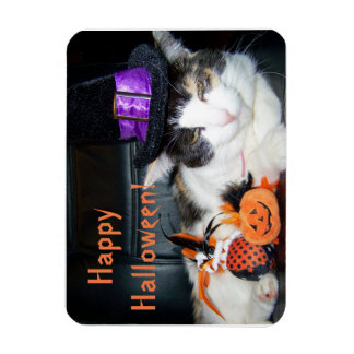 Gelukkig Halloween Heks Kat Kaart Magneet