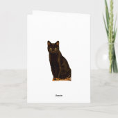 GELUKKIG HALLOWEEN! KAART (Achterkant)