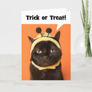 Gelukkig Halloween kat in bij kostuum humor Feestdagen Kaart