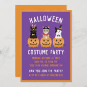 Gelukkig Halloween Katten Jack O Lantern Kaart (Voorkant / Achterkant)