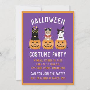 Gelukkig Halloween Katten Jack O Lantern Kaart