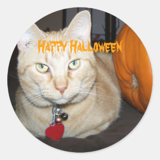 Gelukkig Halloween Oranje Lapjeskat Met Pompoen Ronde Sticker