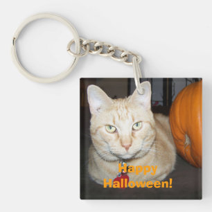Gelukkig Halloween Oranje Tabby Kat Met Pompoen Sleutelhanger