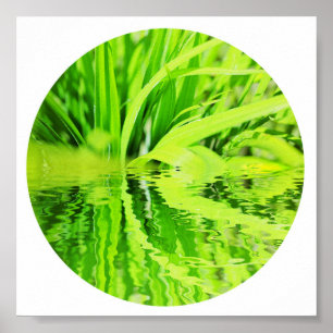Gelukkig Helder Groen Gras Reflectie Natuur Poster