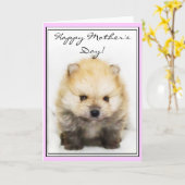 Gelukkig het puppywenskaart van Pomeranian van het Kaart (Gele Bloem)