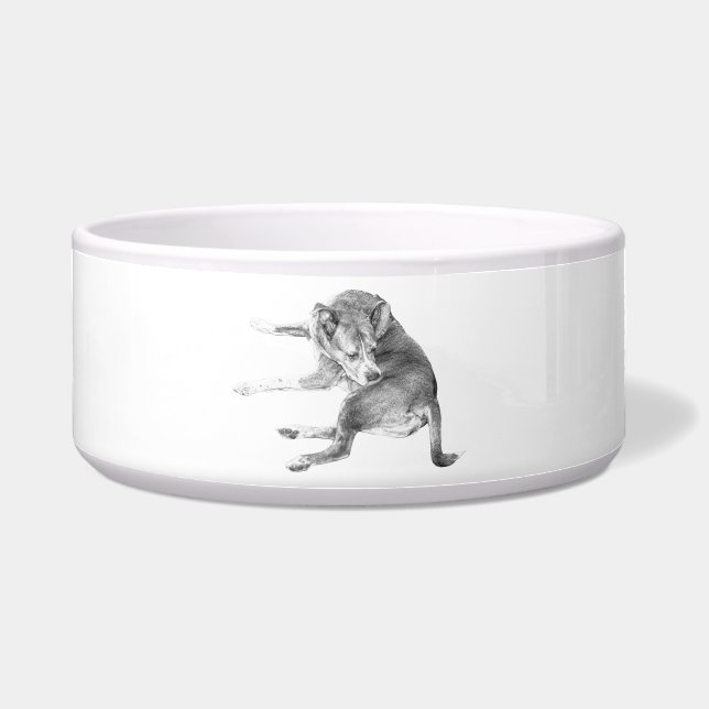Gelukkig Hond Eten Voerbakje (Voorkant)