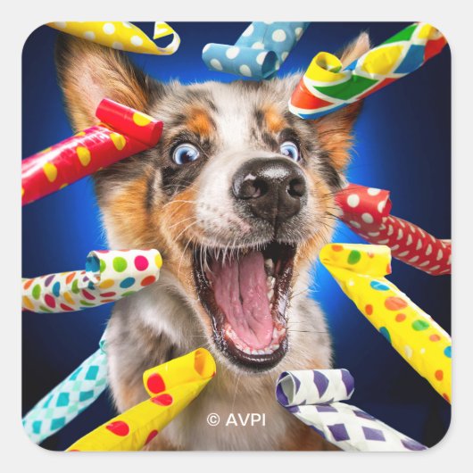 Gelukkig Hond Feest Toeters Vierkante Sticker (Voorkant)