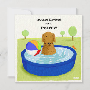 Gelukkig Hond Zwembad Feest Schattige Golden Ret Kaart
