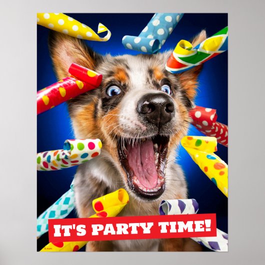 Gelukkig Hondenfeest Toeters Poster (Voorkant)