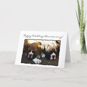 Gelukkig huwelijksjubileum Boxer wenskaart Kaart