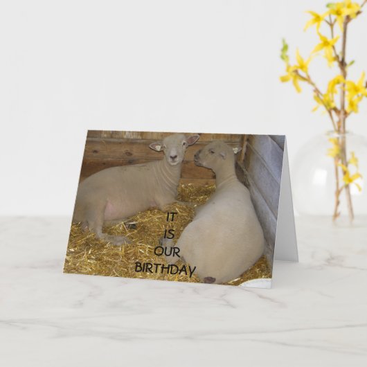 GELUKKIG IS HET "ONZE" VERJAARDAG KAART (Gele Bloem)