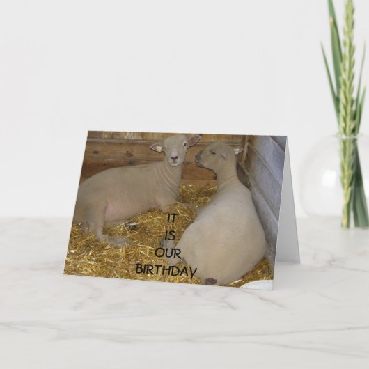 GELUKKIG IS HET "ONZE" VERJAARDAG KAART (Voorkant)