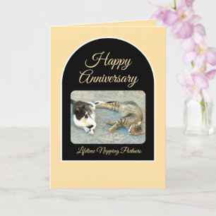 Gelukkig jubileum aan mijn slaappartner/kittens kaart
