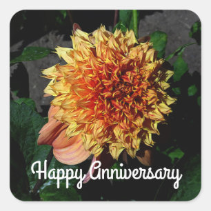 Gelukkig Jubileum Dahlia Sandia Brocade #1 Square Vierkante Sticker