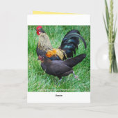 Gelukkig jubileum Haan en Hen Rode Veren Kaart (Achterkant)