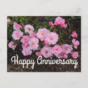 Gelukkig jubileum Jeanne LaJoie Rose #1 ansichtkaa Briefkaart