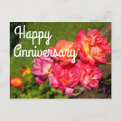 Gelukkig jubileum Joseph's Coat Roos #1 briefkaart (Voorkant)