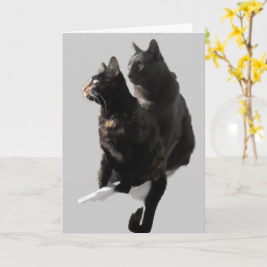 Gelukkig jubileum kattenkoppel kaart (Gele Bloem)