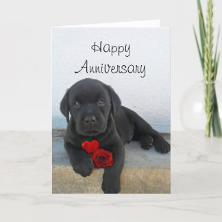 Gelukkig jubileum Labradors puppy wenskaart Kaart