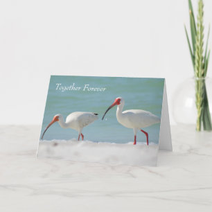 Gelukkig jubileum Mooie Vogel Kaart