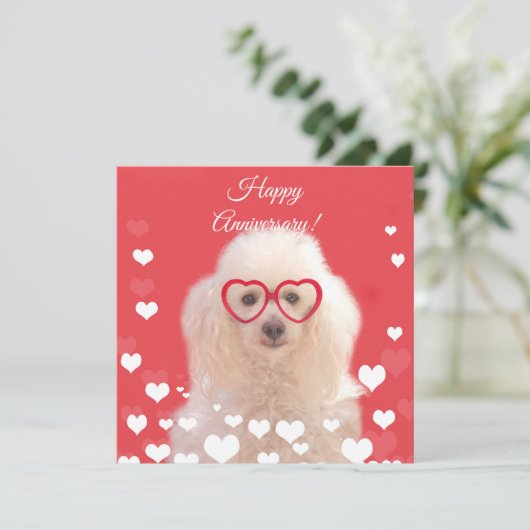 Gelukkig jubileum Poodle hond vlakke kaart (Staand voorkant)