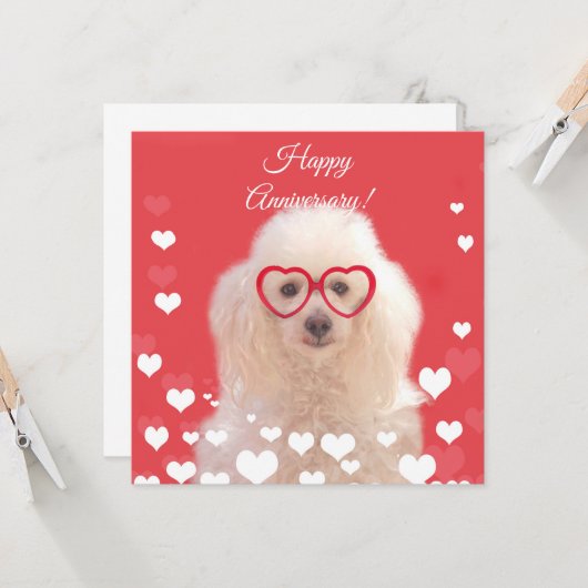 Gelukkig jubileum Poodle hond vlakke kaart (Voorkant / Achterkant in situ)