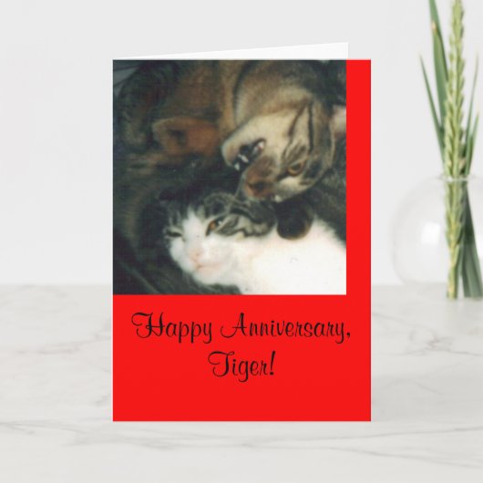 Gelukkig Jubileum, Tijger! Kaart (Voorkant)