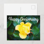 Gelukkig jubileum Wandelend in de zon Roos #1 Briefkaart (Voorkant / Achterkant)