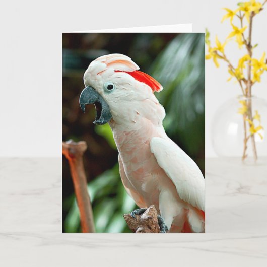 Gelukkig kaketoewenskaart kaart (Gele Bloem)