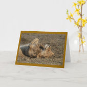 Gelukkig Kat Kaart (Gele Bloem)