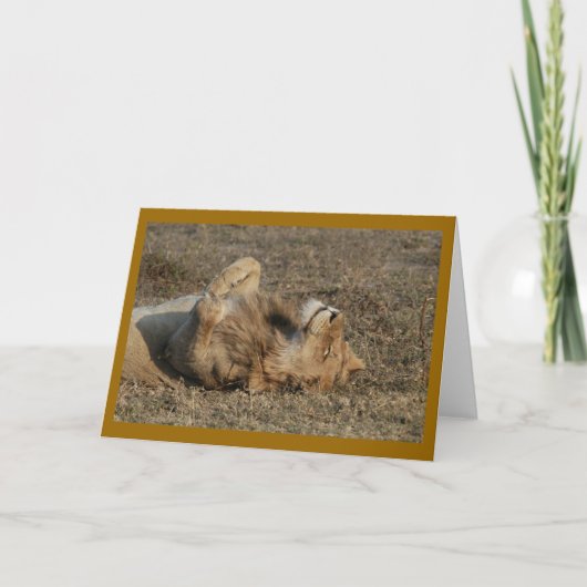 Gelukkig Kat Kaart (Voorkant)