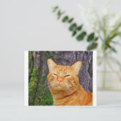 Gelukkig Kat Kat! Briefkaart (Staand voorkant)