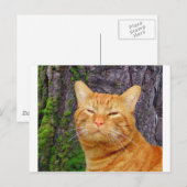 Gelukkig Kat Kat! Briefkaart (Voorkant / Achterkant)