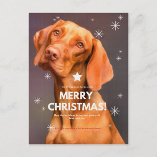 Gelukkig kerstfeest! briefkaart